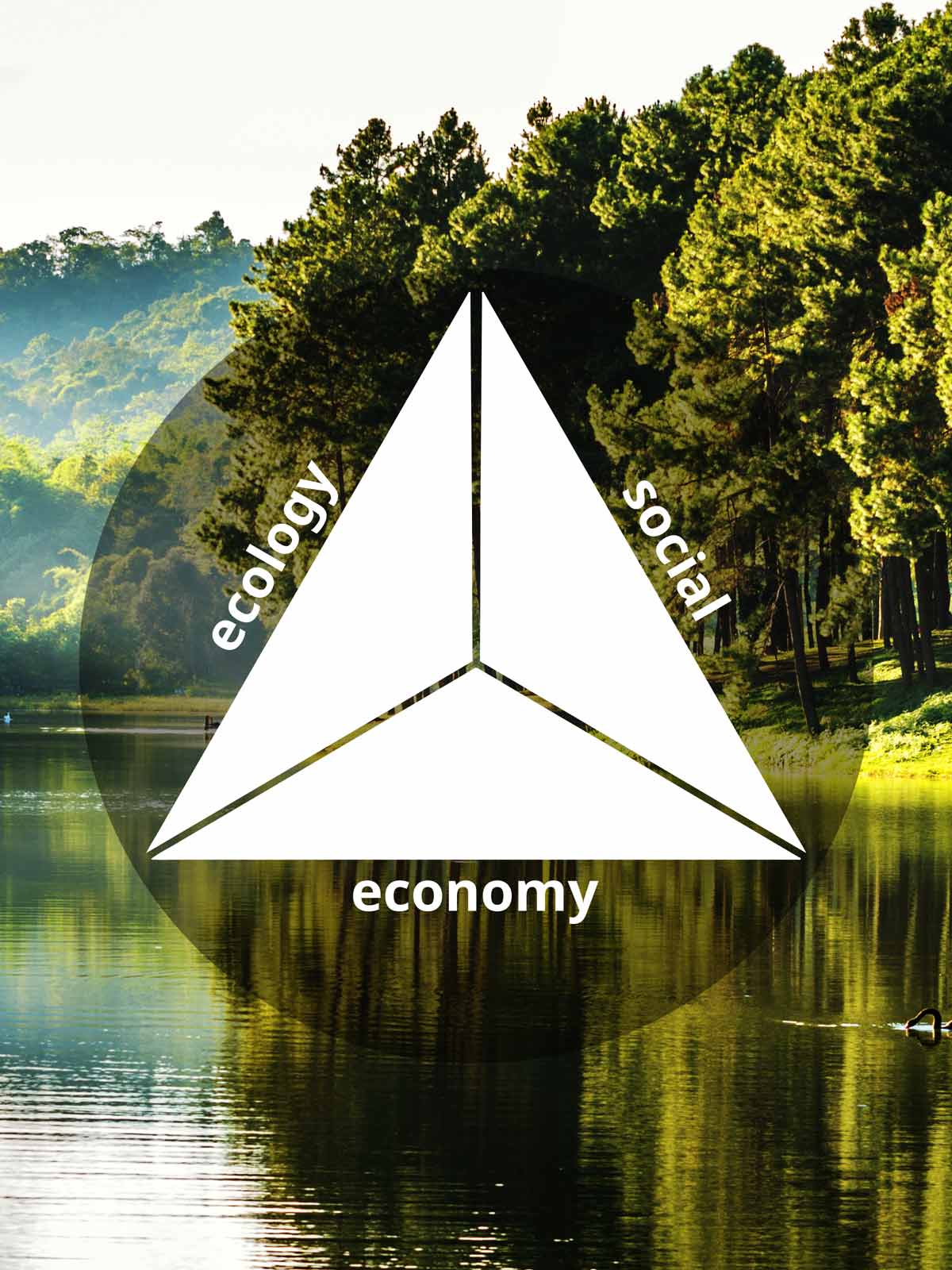 A triangle made up of three individual parts. The individual parts are labeled Ecology, Social and Economy.