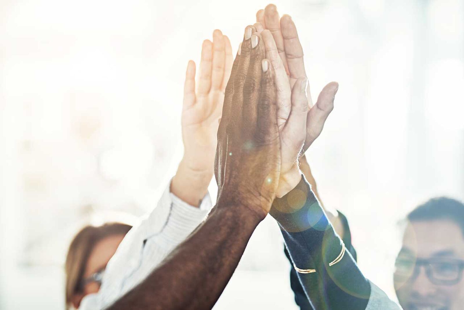 The arms of four people meet in the air for a high-five.