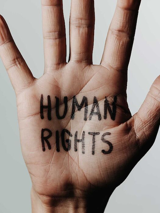 A palm with Human Rights written on it.